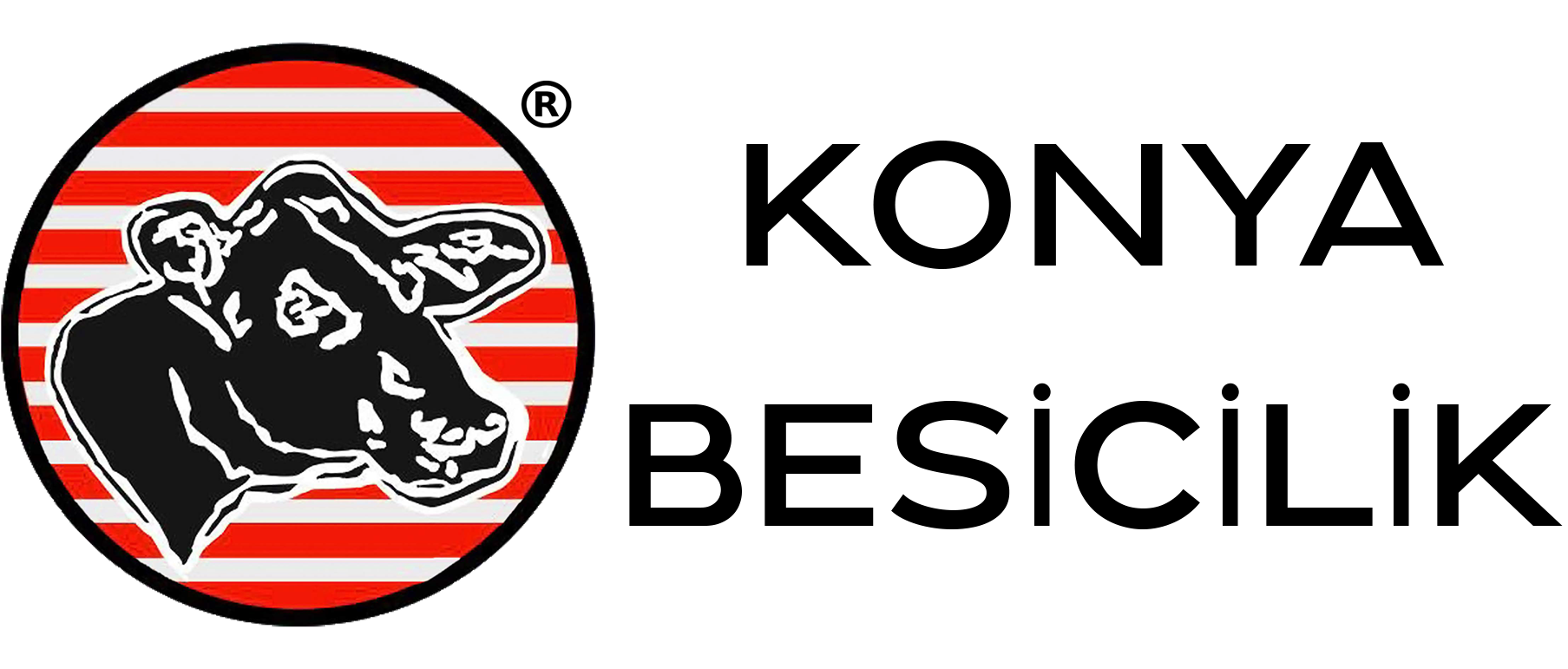Konya Besicilik